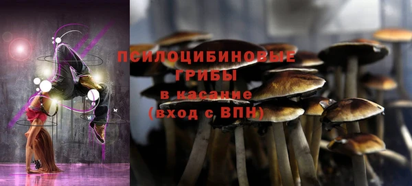 мескалин Алексин